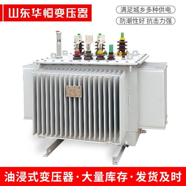 S13-10000/35巴林左巴林左巴林左电力变压器